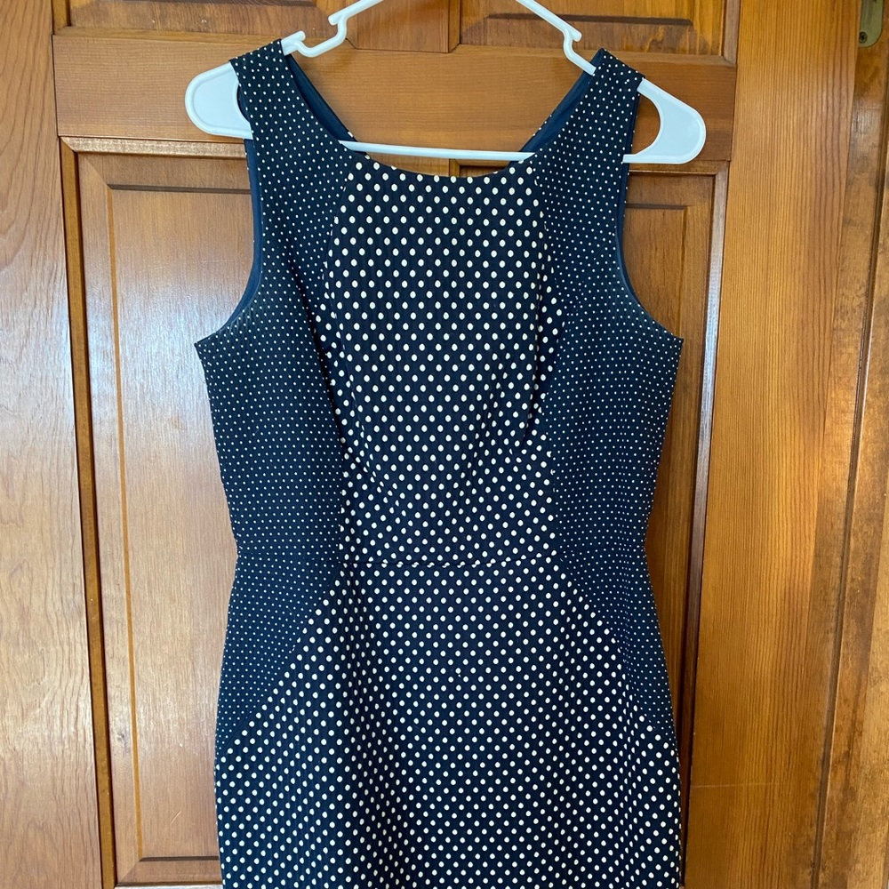 Banana Republic dot dress